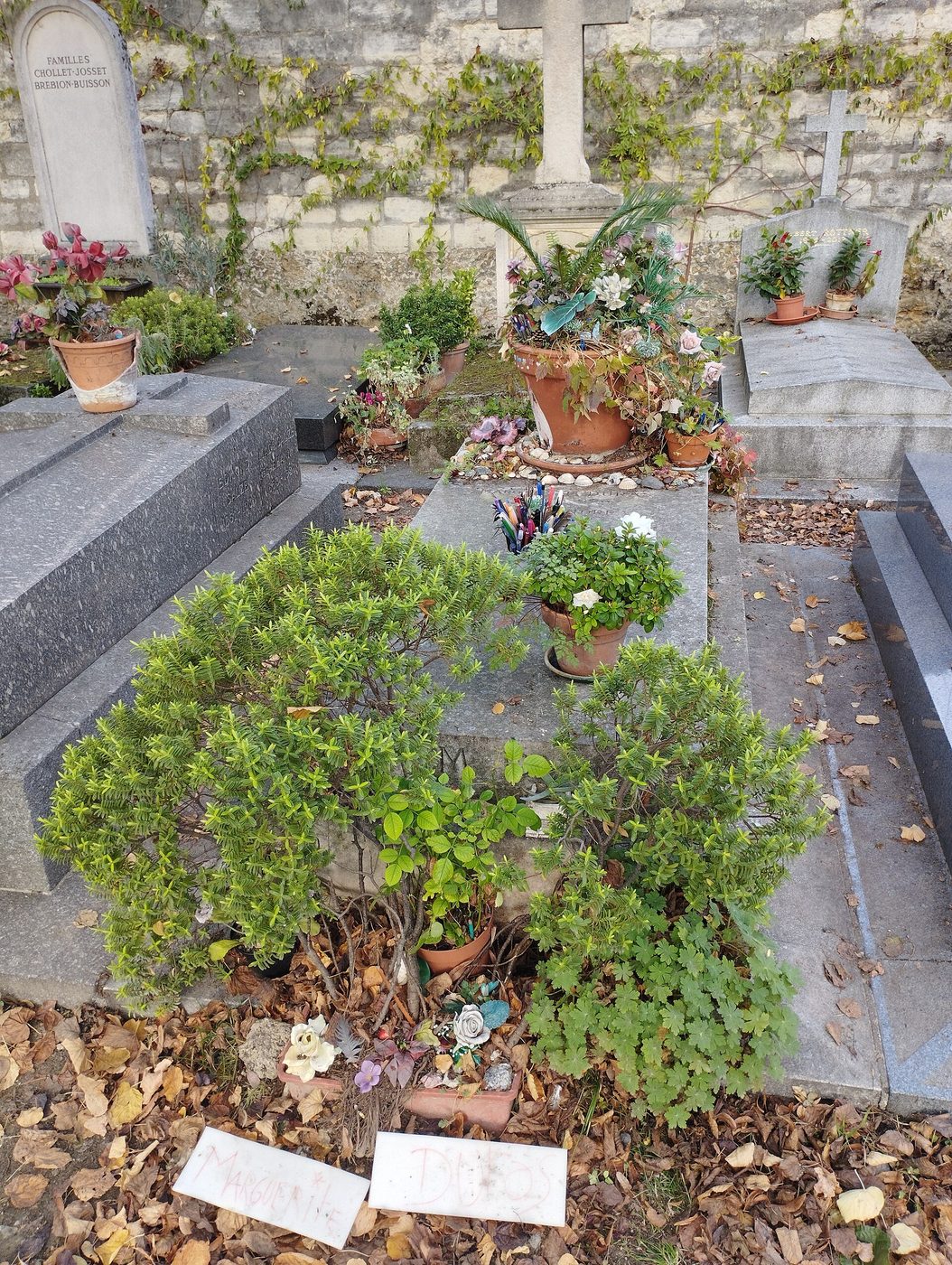 Grave of Marguerite Duras