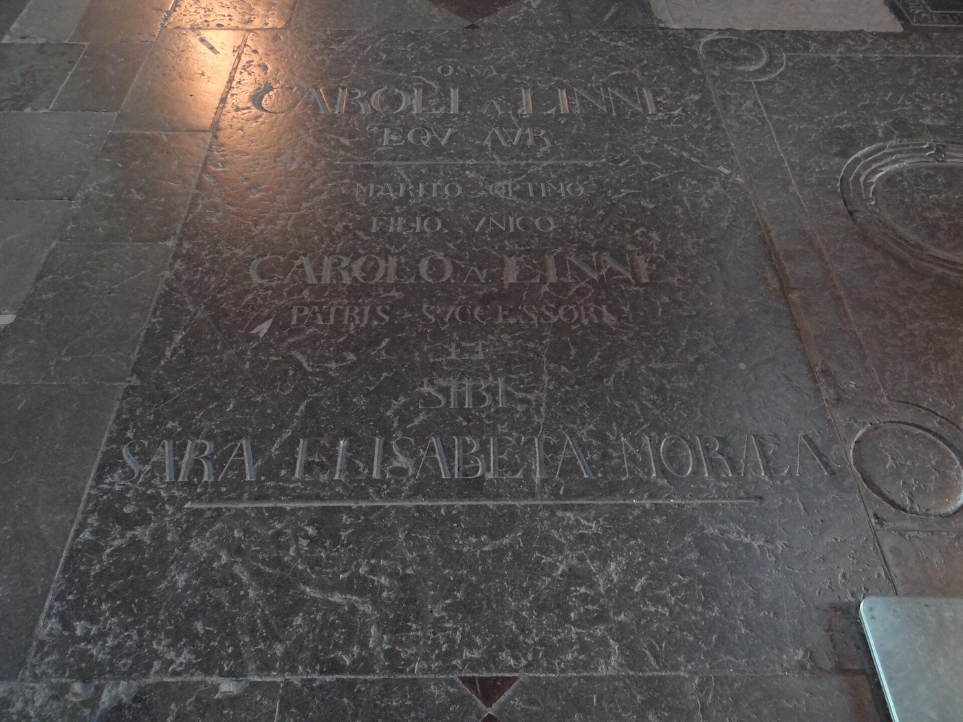 Могила: Carl Linnaeus