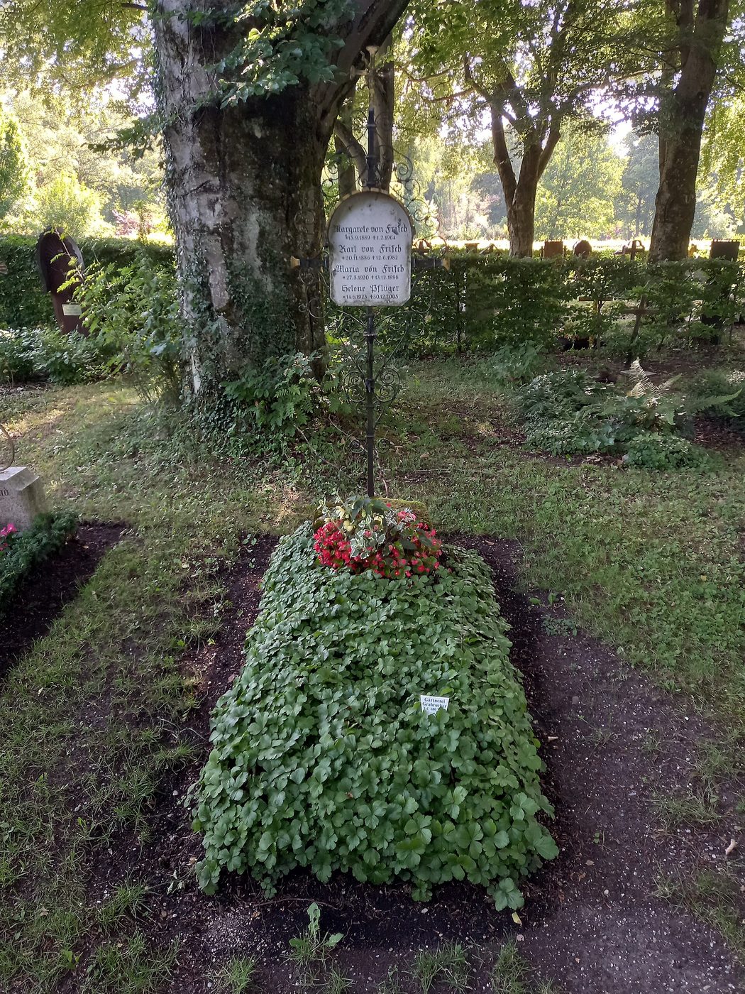 Могила: Karl von Frisch