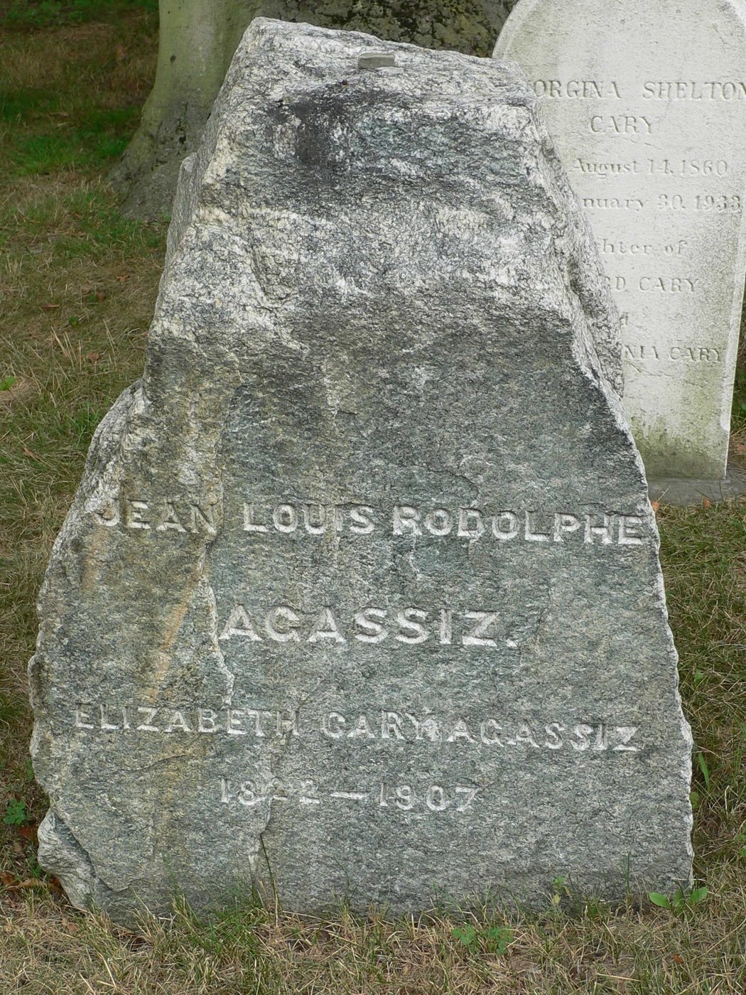 Могила: Louis Agassiz