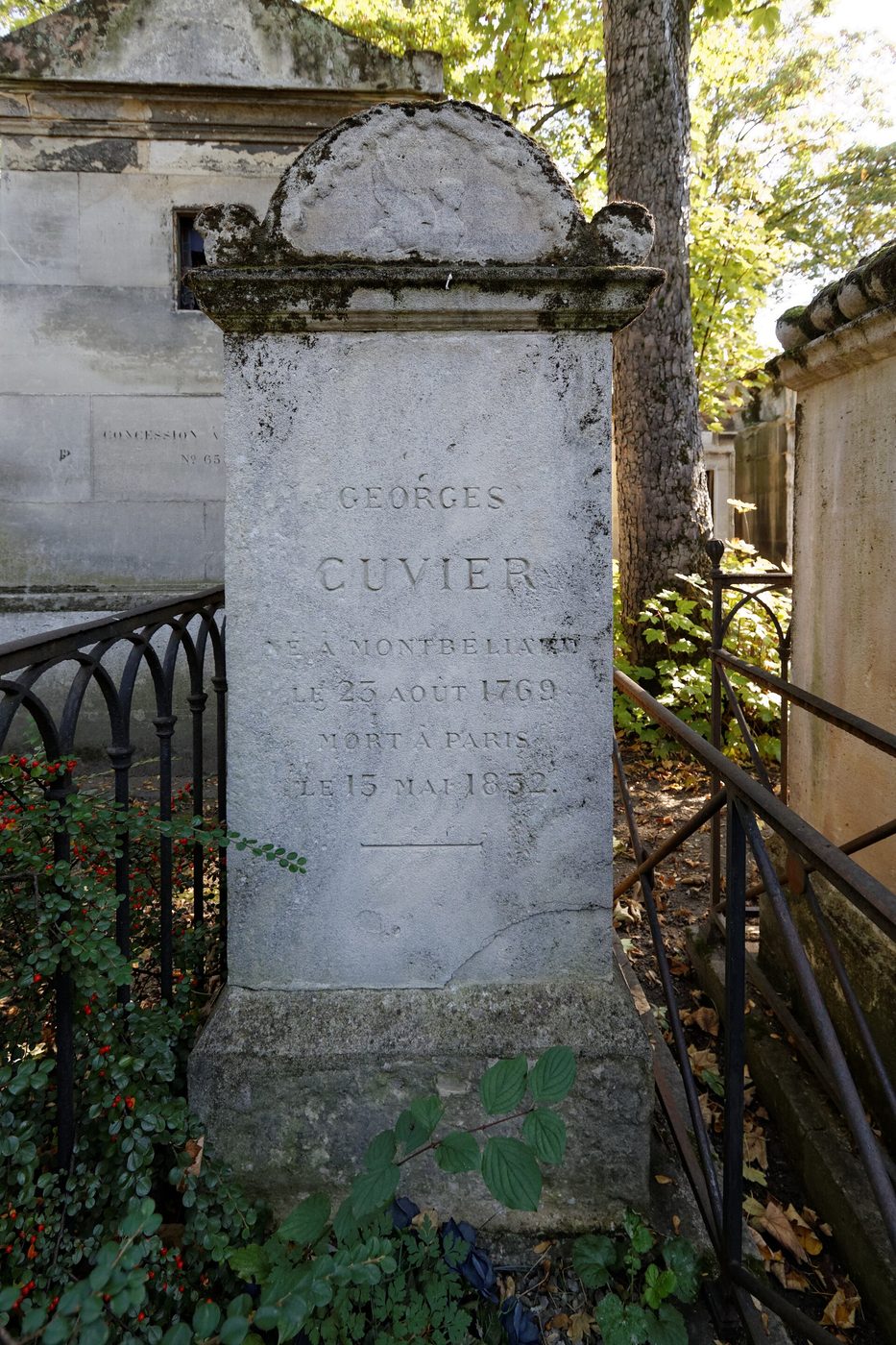 Tumba de Georges Cuvier
