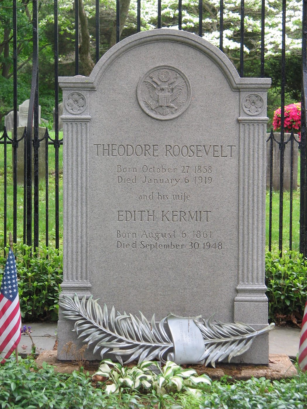 Могила: Theodore Roosevelt