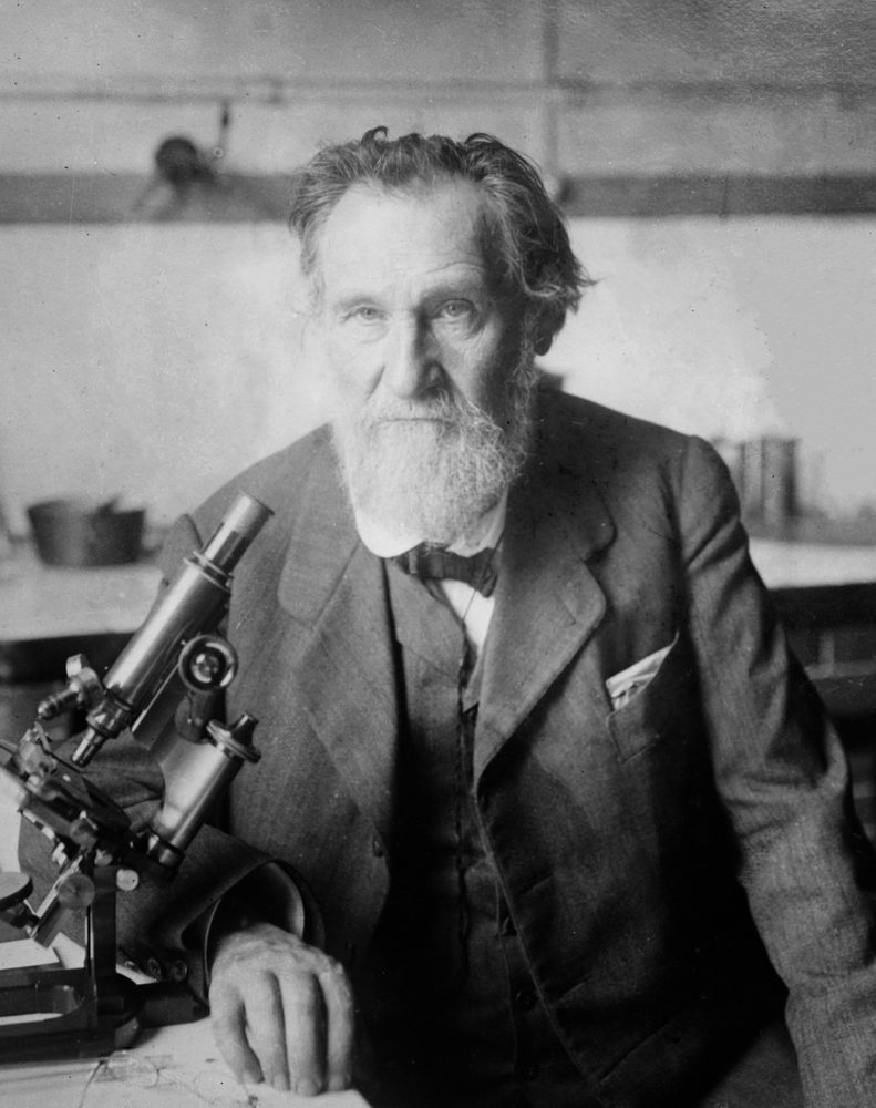 Élie Metchnikoff