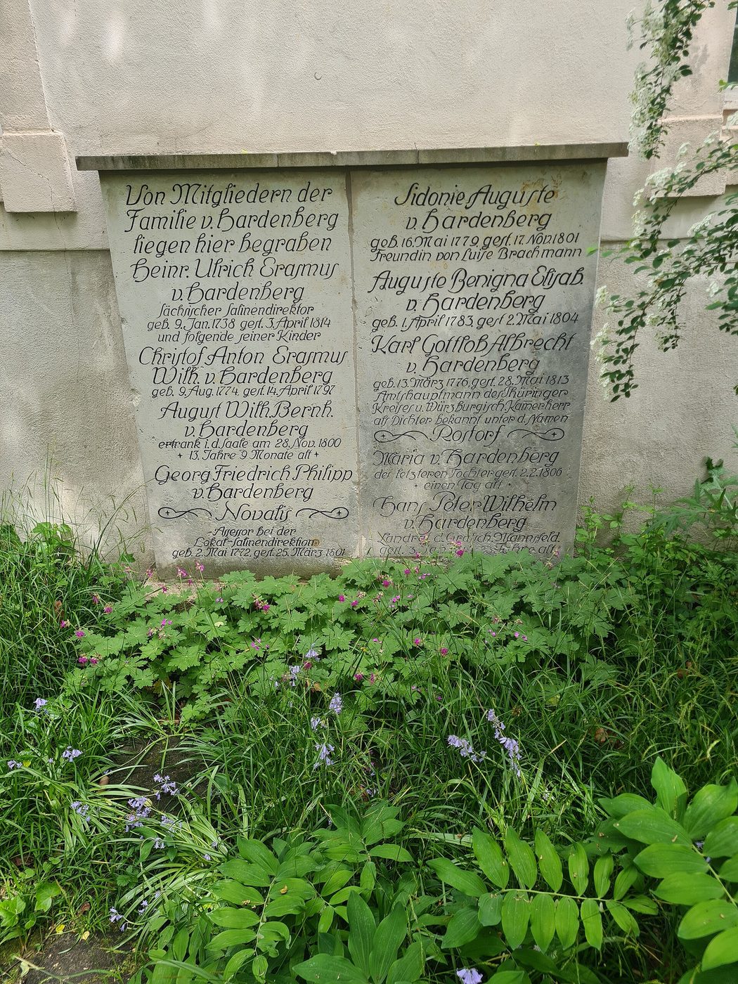 Могила: Novalis